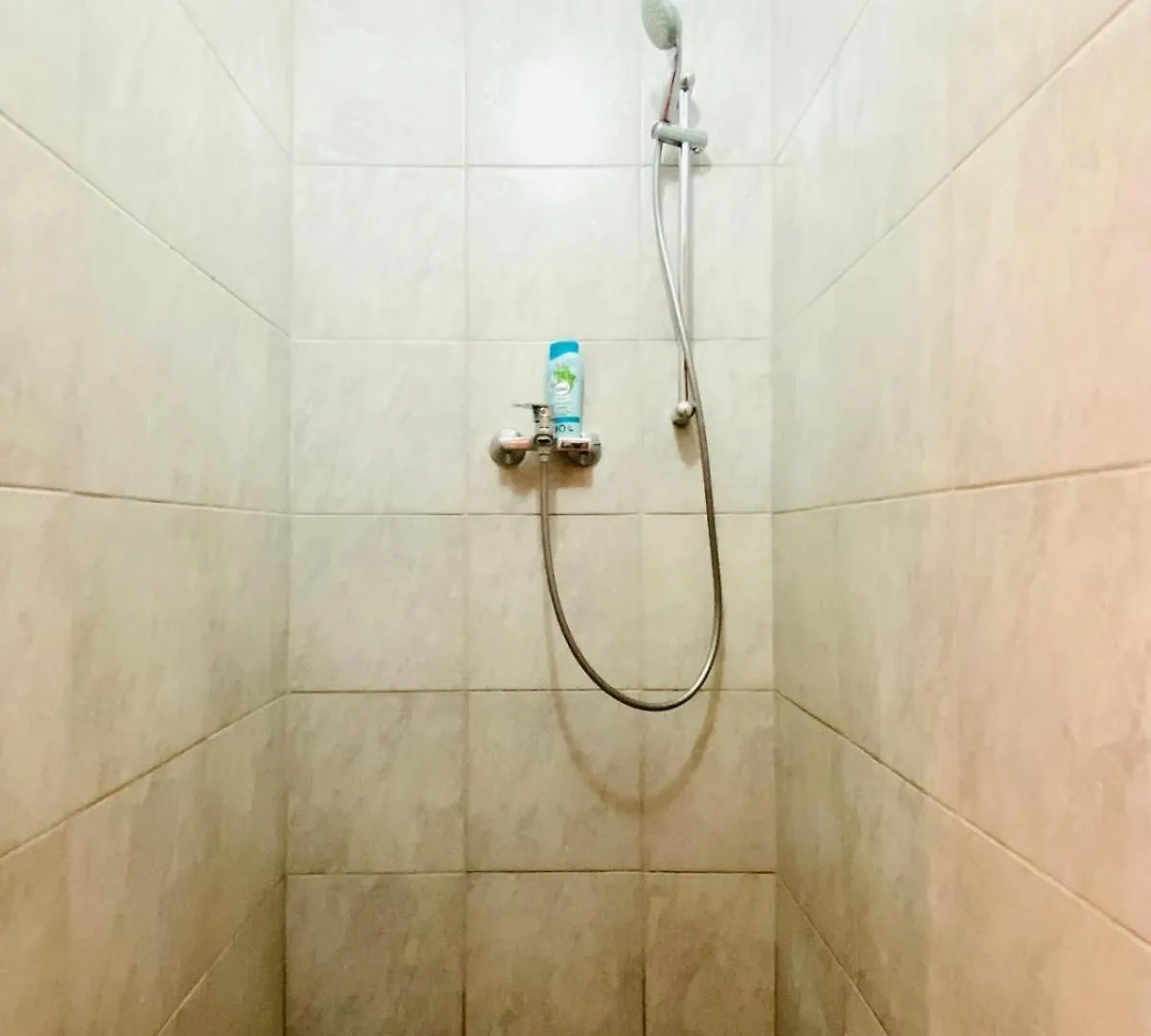 Bright 5Br Apartment W Great Transport Link Vienna