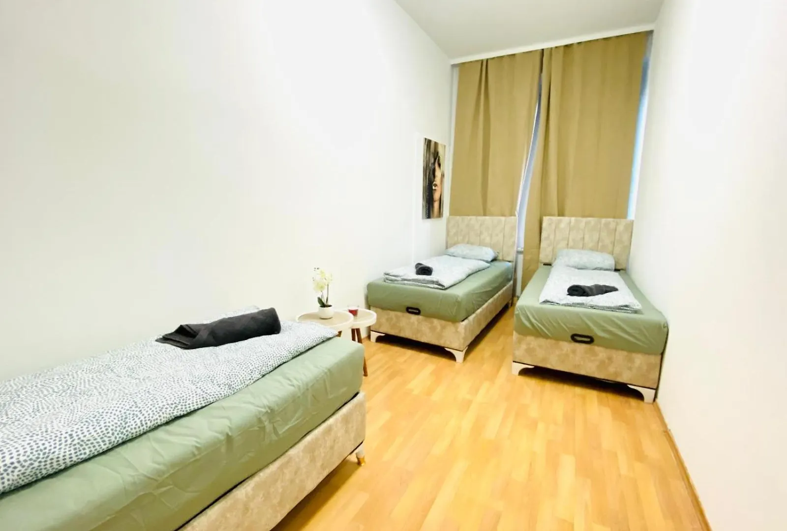 Bright 5Br Apartment W Great Transport Link Vienna Austria