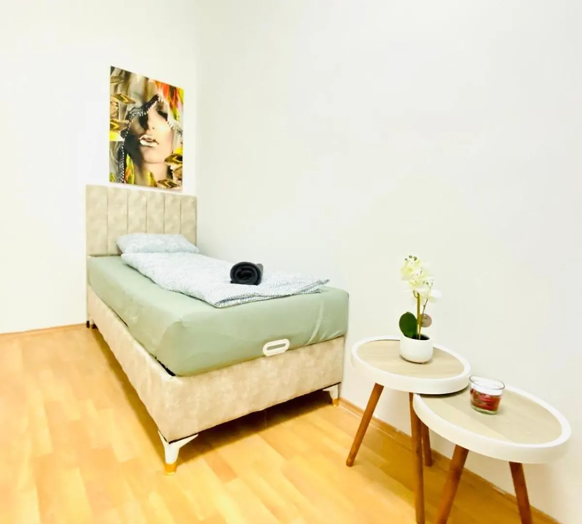Bright 5Br Apartment W Great Transport Link Vienna