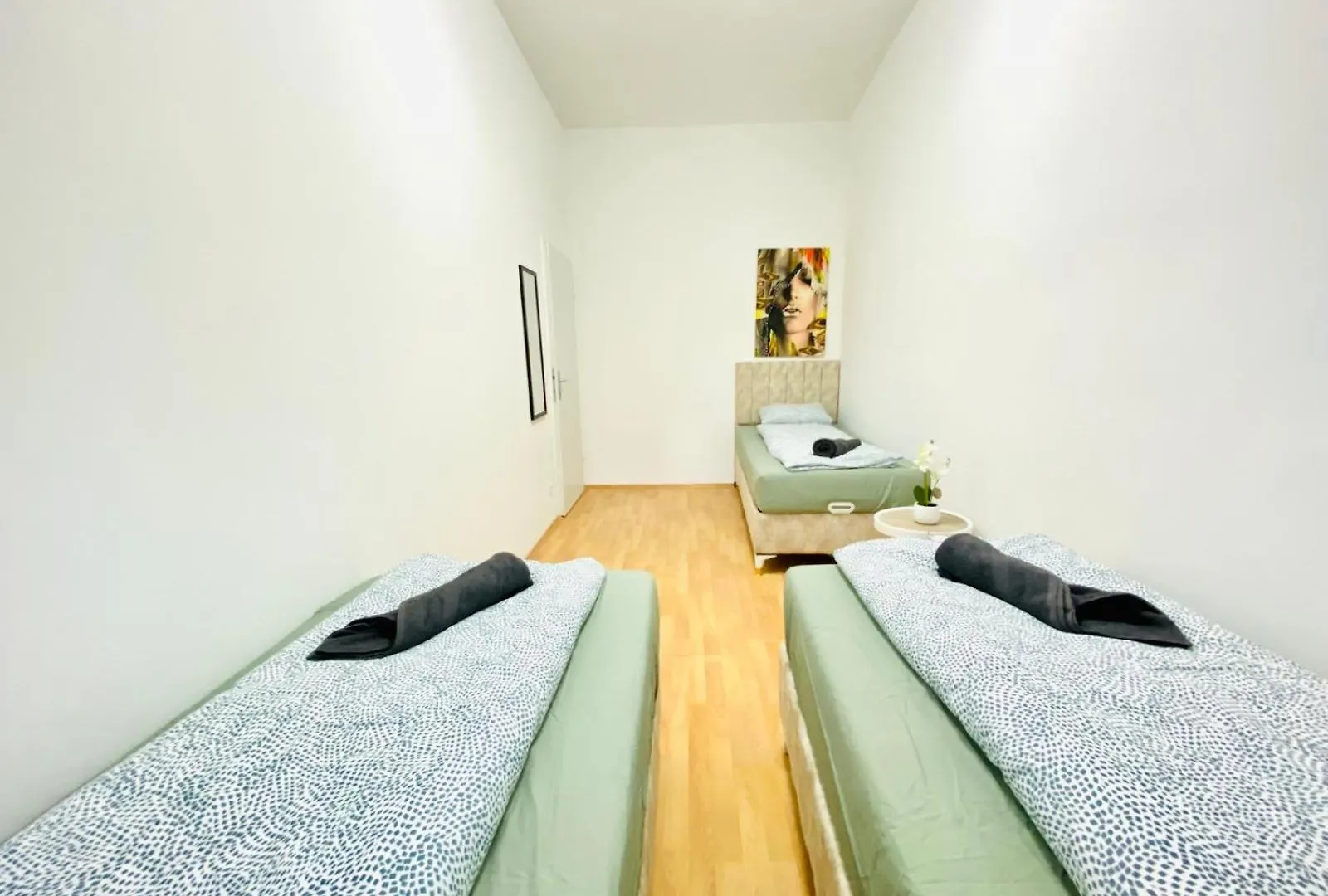 Bright 5Br Apartment W Great Transport Link Vienna