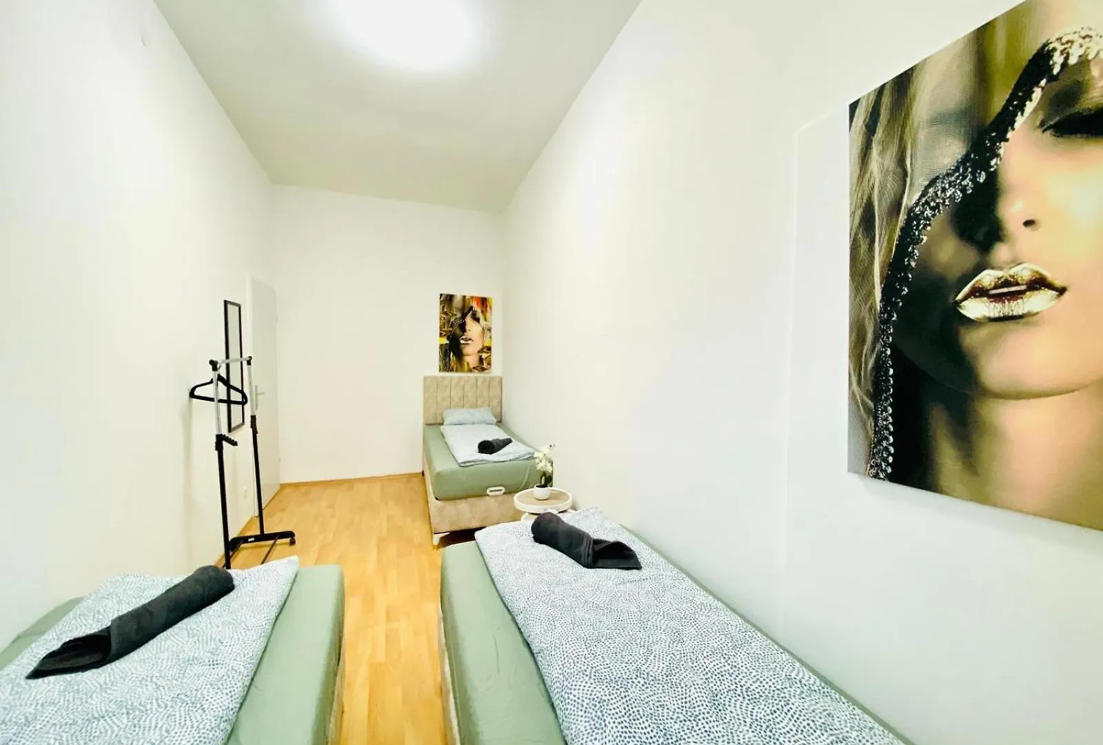 Bright 5Br Apartment W Great Transport Link Vienna