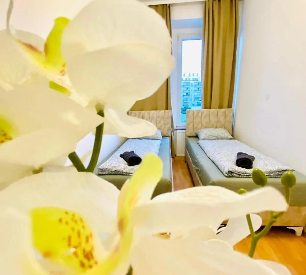 Bright 5Br Apartment W Great Transport Link Vienna 0*,