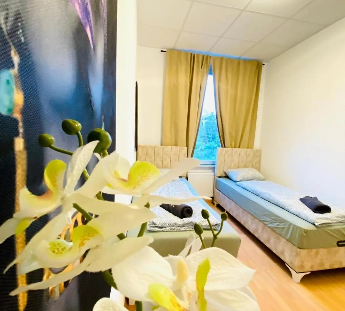 Bright 5Br Apartment W Great Transport Link Vienna