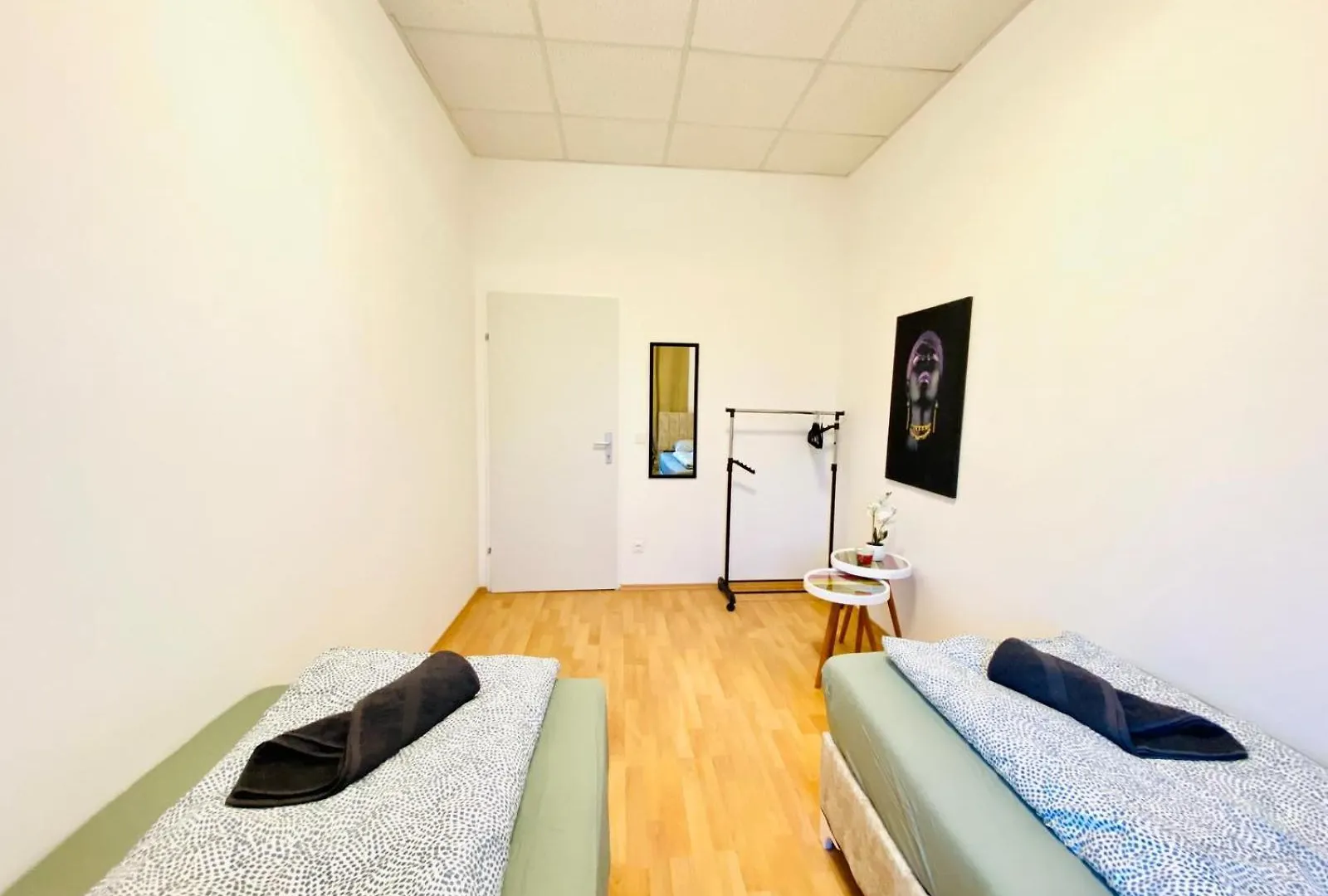 Bright 5Br Apartment W Great Transport Link Vienna