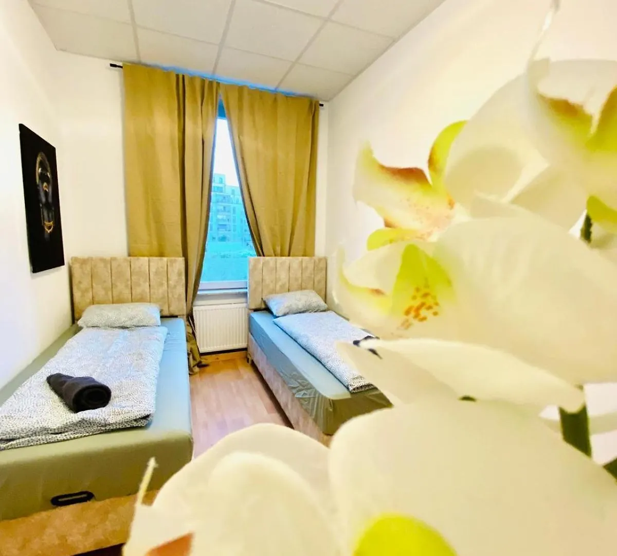 Bright 5Br Apartment W Great Transport Link Vienna