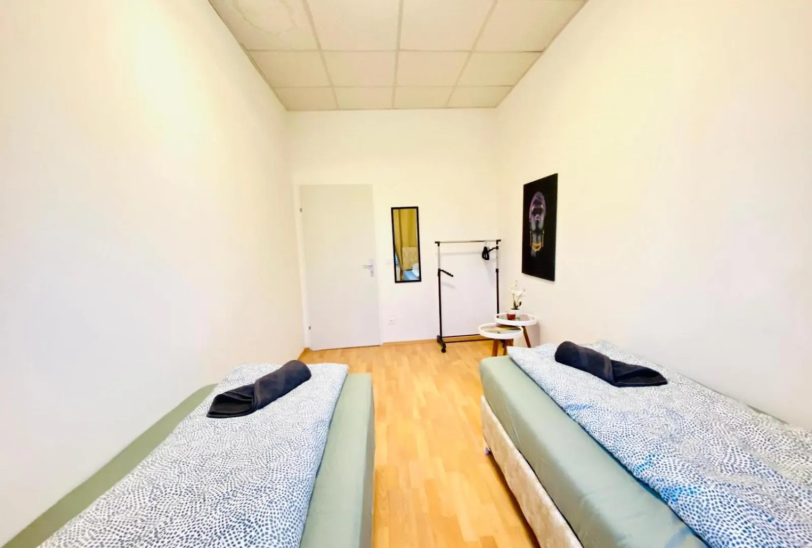 Bright 5Br Apartment W Great Transport Link Vienna
